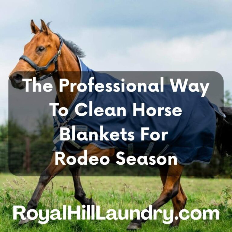 Don't Break Your Washer: The Professional Way to Clean Horse Blankets for Rodeo Season