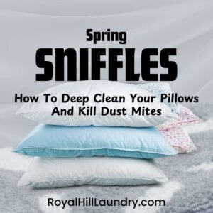 Spring Sniffles? How to Deep Clean Your Pillows and Kill Dust Mites