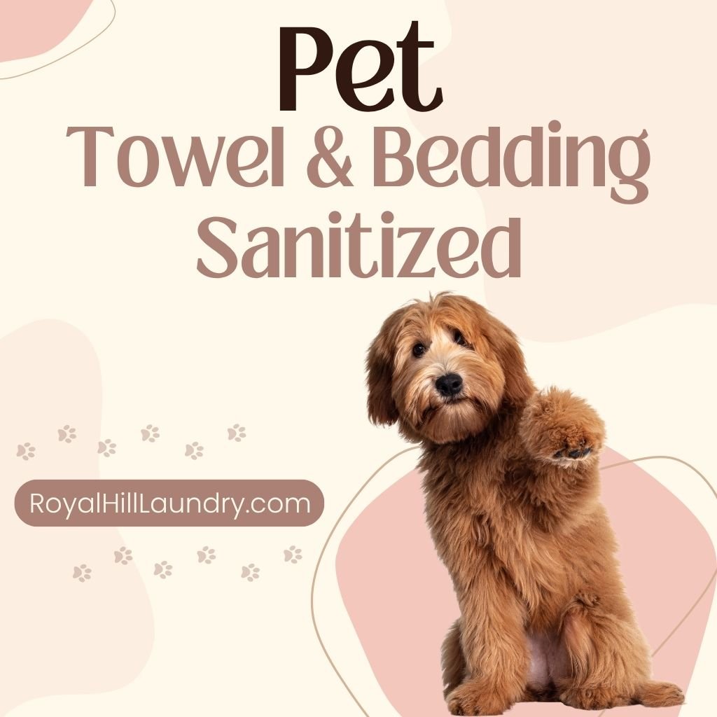 Commercial Laundry Service Cypress TX: Keeping Veterinary Towels and Pet Bedding Sanitized